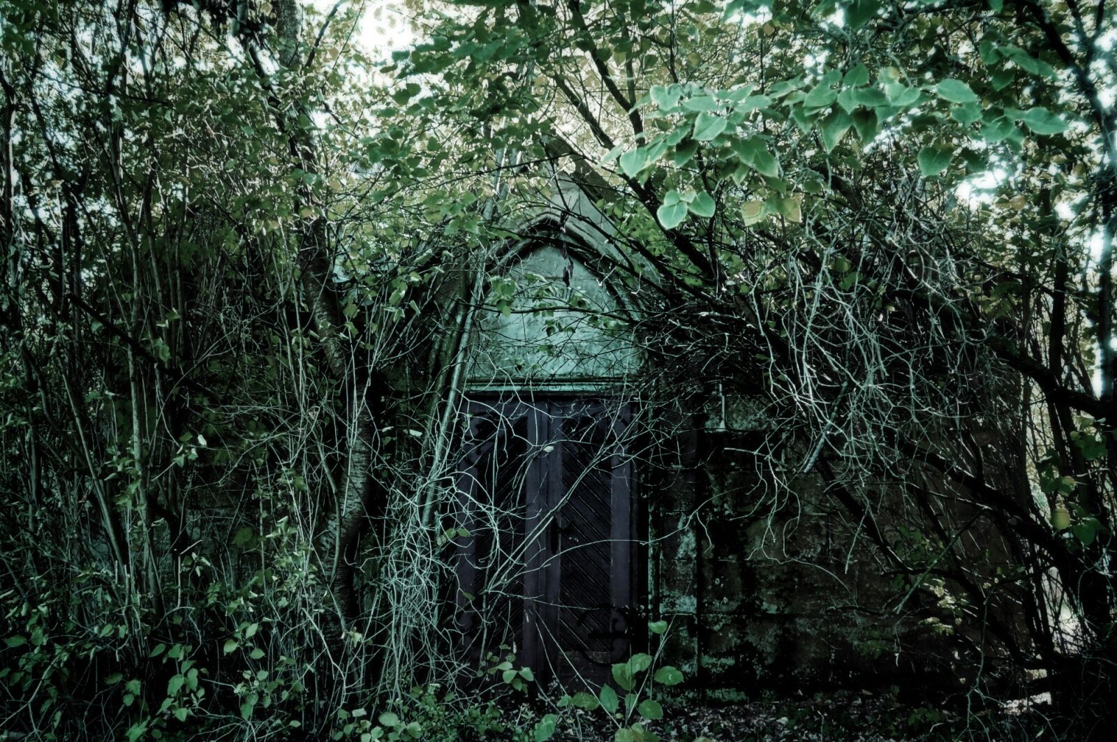 Sony Alpha NEX-F3 sample photo. Romantic, haunting, old photography
