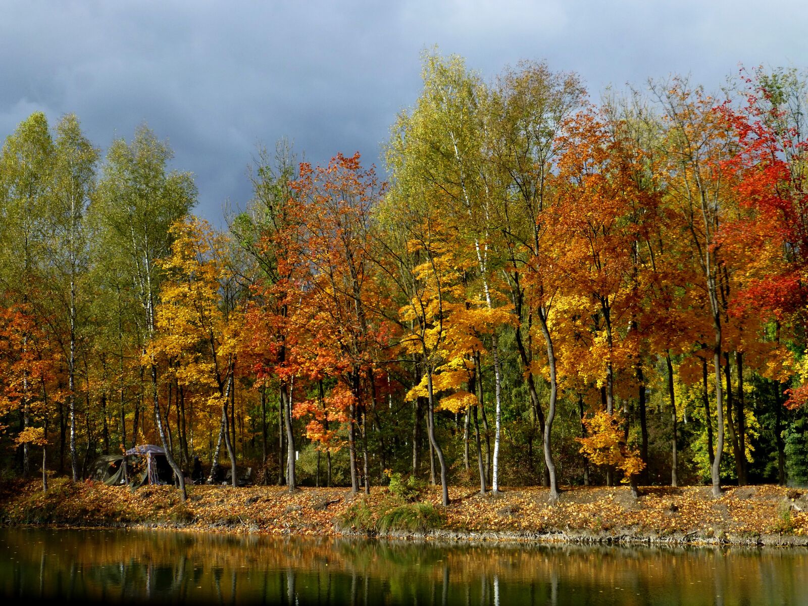 Panasonic DMC-TZ31 sample photo. Autumn forest, golden, lake photography