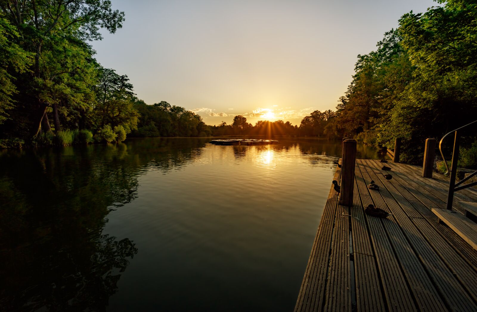 Nikon D810 sample photo. Web, jetty, lake photography
