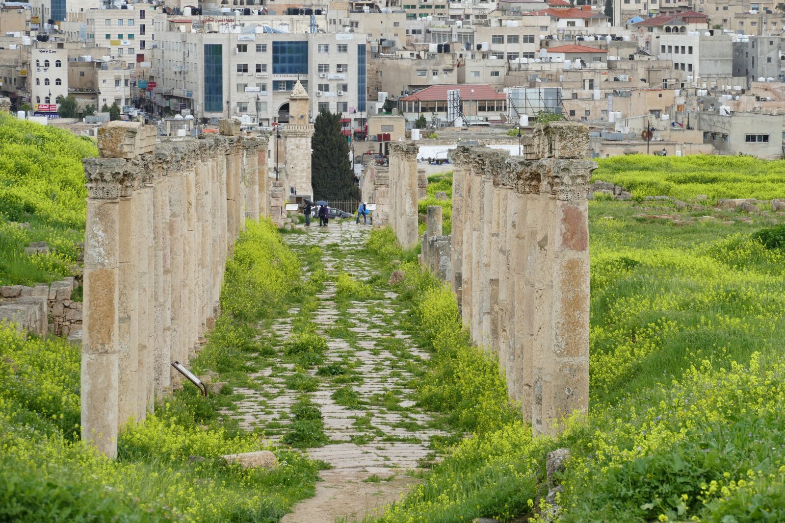 Panasonic Lumix DMC-FZ1000 sample photo. Jordan, jerash, gerasa photography