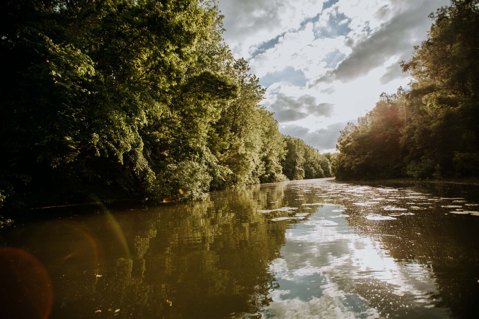 Canon EF 16-35mm F2.8L II USM sample photo. River, rainforest, sunshine, amazon photography