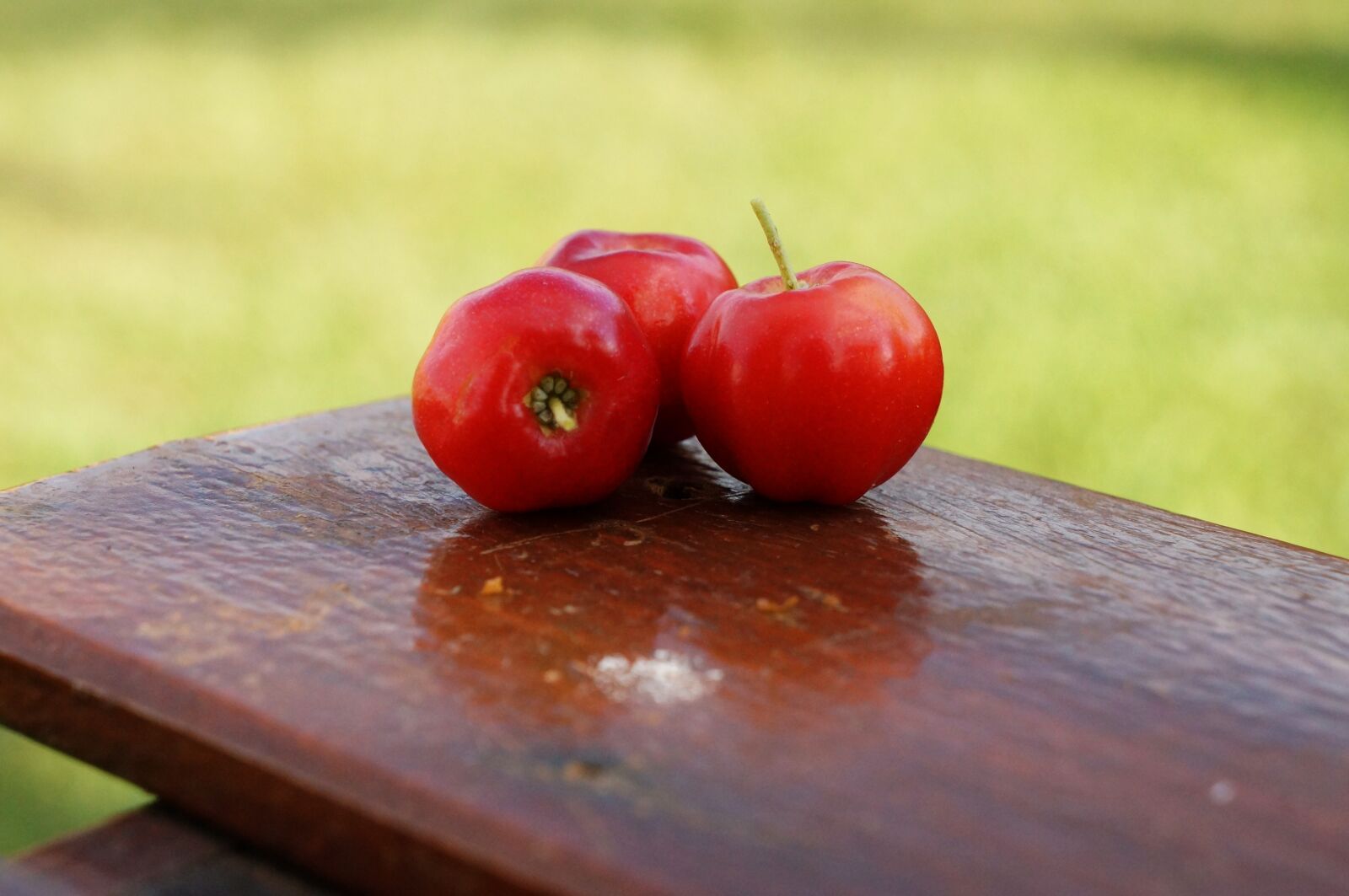 Sony Alpha NEX-F3 + Sony E 18-55mm F3.5-5.6 OSS sample photo. Acerola, fruit, vitamin photography