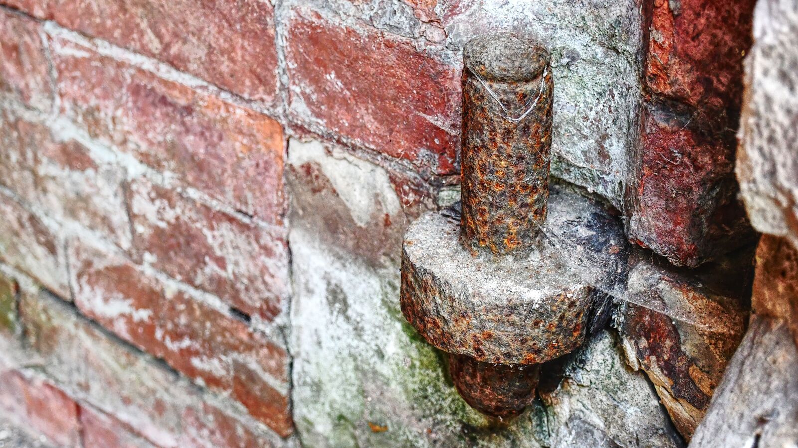 Nikon D7500 sample photo. Loop, crash, rust photography