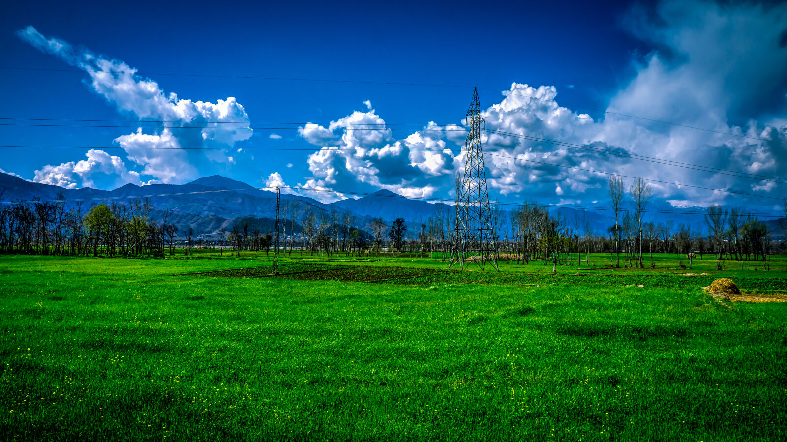 Sony Alpha NEX-5N sample photo. Field, and, clouds photography