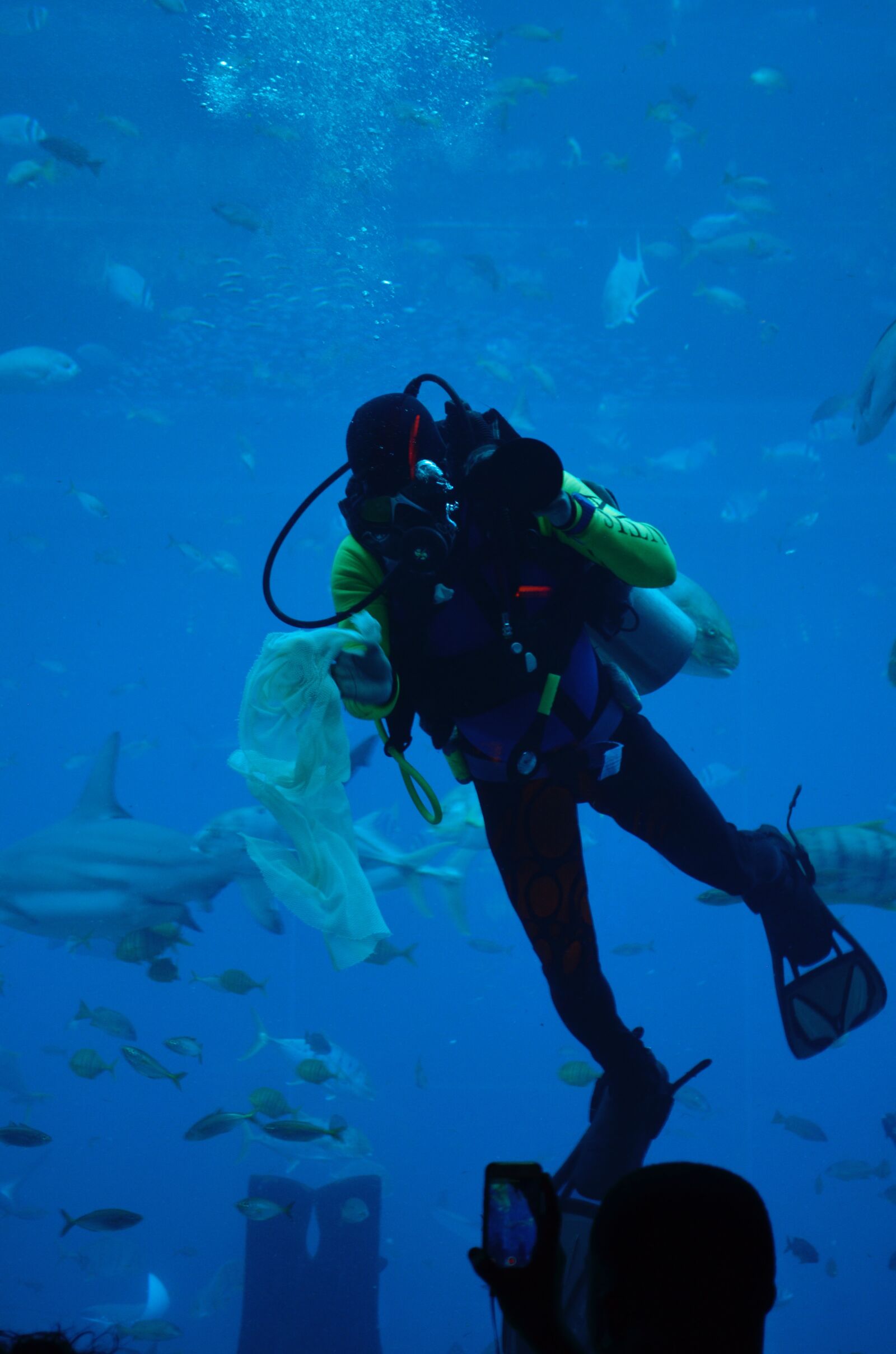 Nikon D5100 sample photo. Aquarium, sea photography