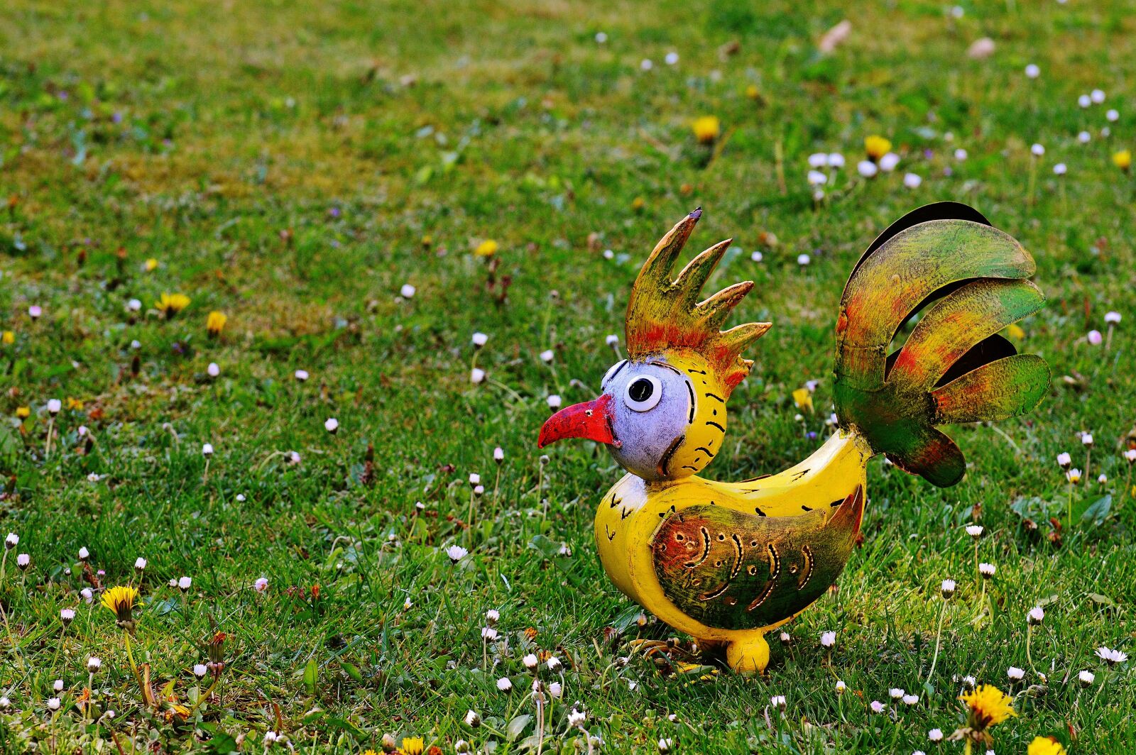 Nikon D3200 sample photo. Bird, sheet, deco photography