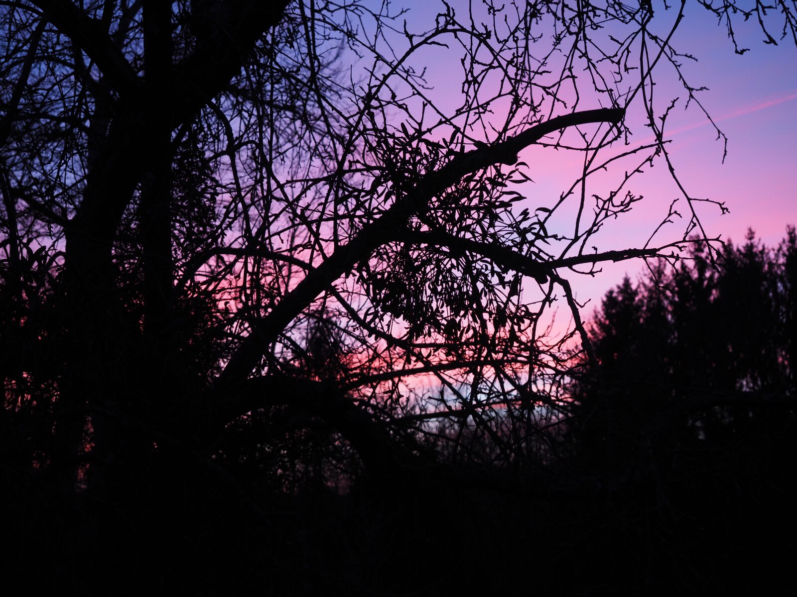 Olympus OM-D E-M1 + Olympus M.Zuiko Digital ED 12-40mm F2.8 Pro sample photo. Afterglow, evening, abendstimmung photography