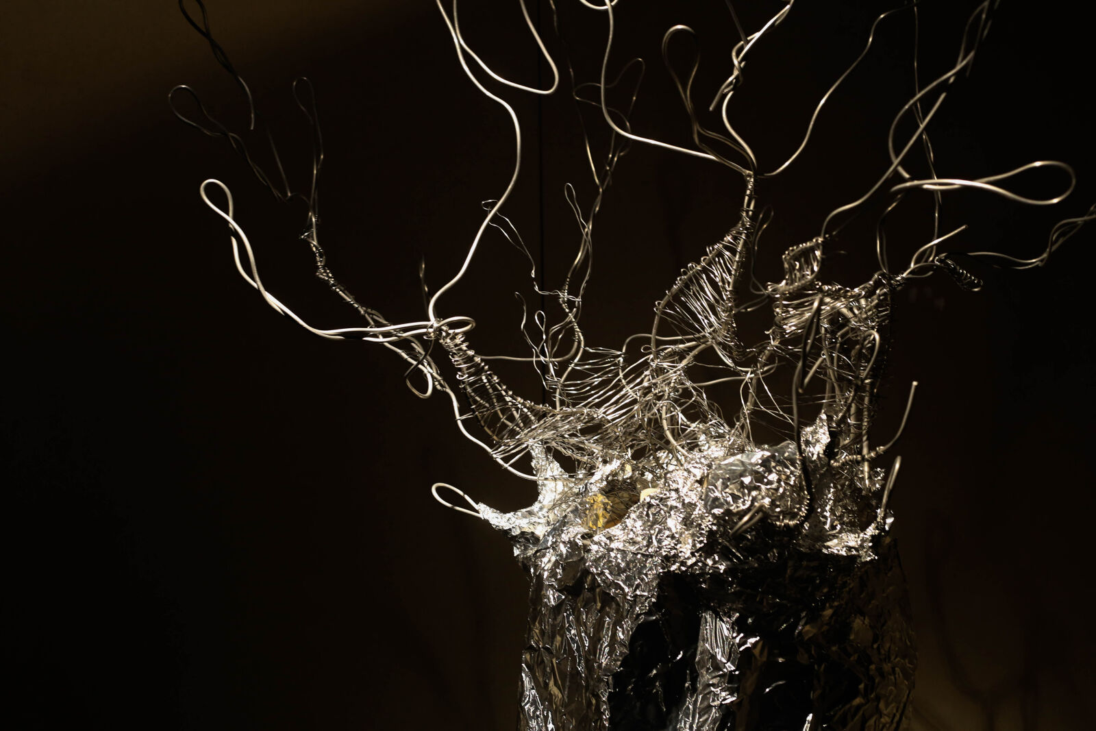 Canon EOS 6D + Canon EF 50mm F1.8 STM sample photo. Tree photography