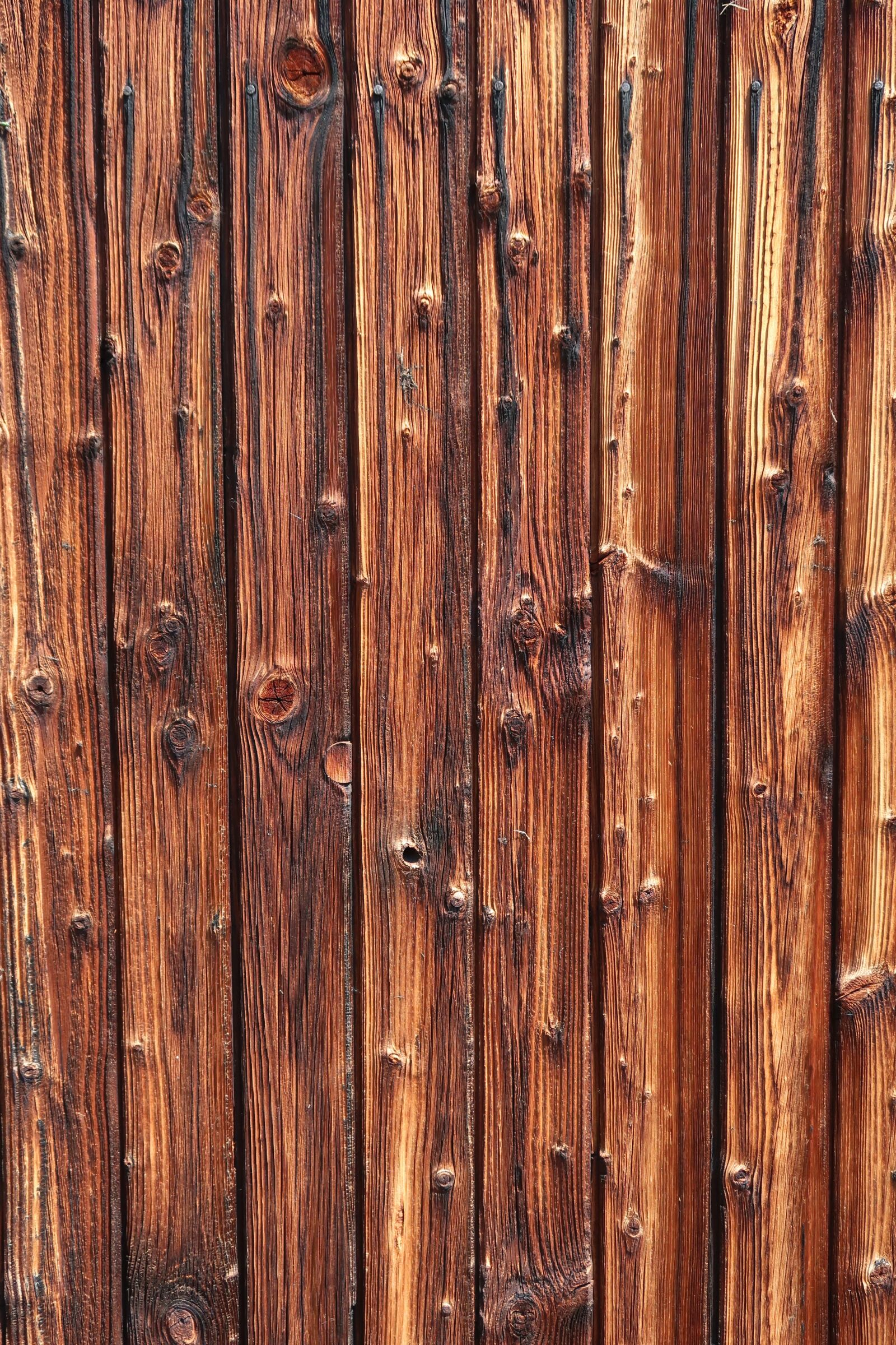 Canon PowerShot G7 X Mark II sample photo. Wood, timber fa ade photography