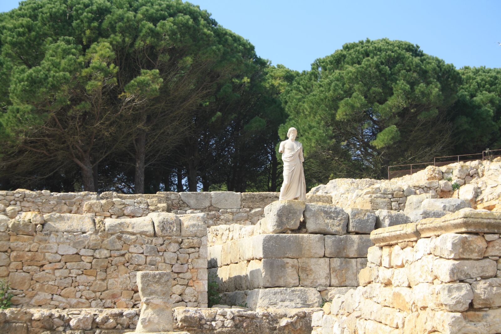 Canon EOS 1000D (EOS Digital Rebel XS / EOS Kiss F) sample photo. Exhumation, greek, spain photography