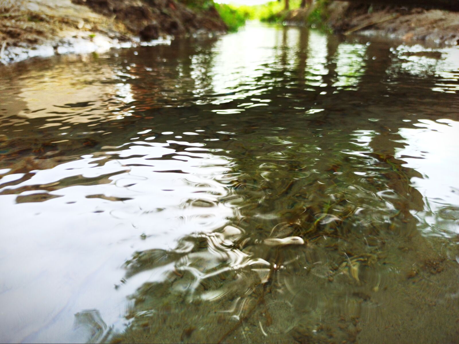 Xiaomi Redmi Note 8 Pro sample photo. Stream, flow, nature photography
