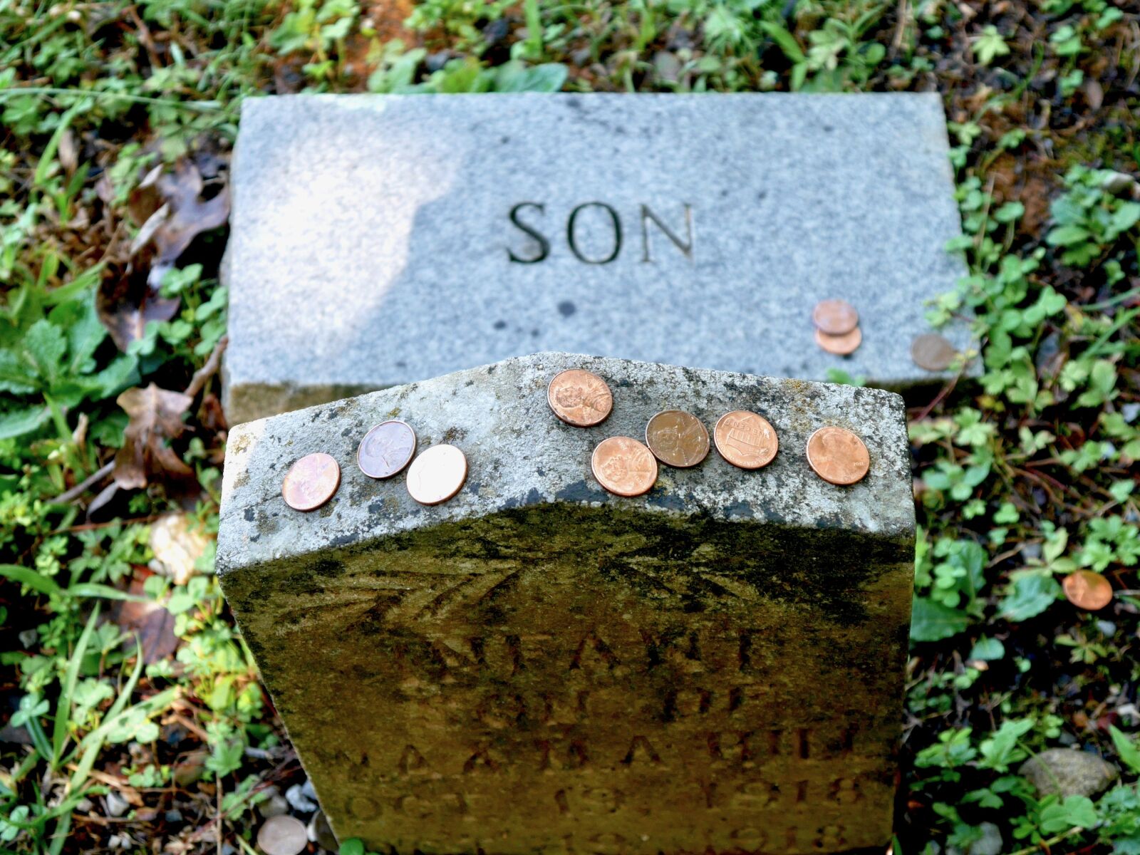 Panasonic Lumix DMC-GM1 sample photo. Cemetery, pennies, copper photography