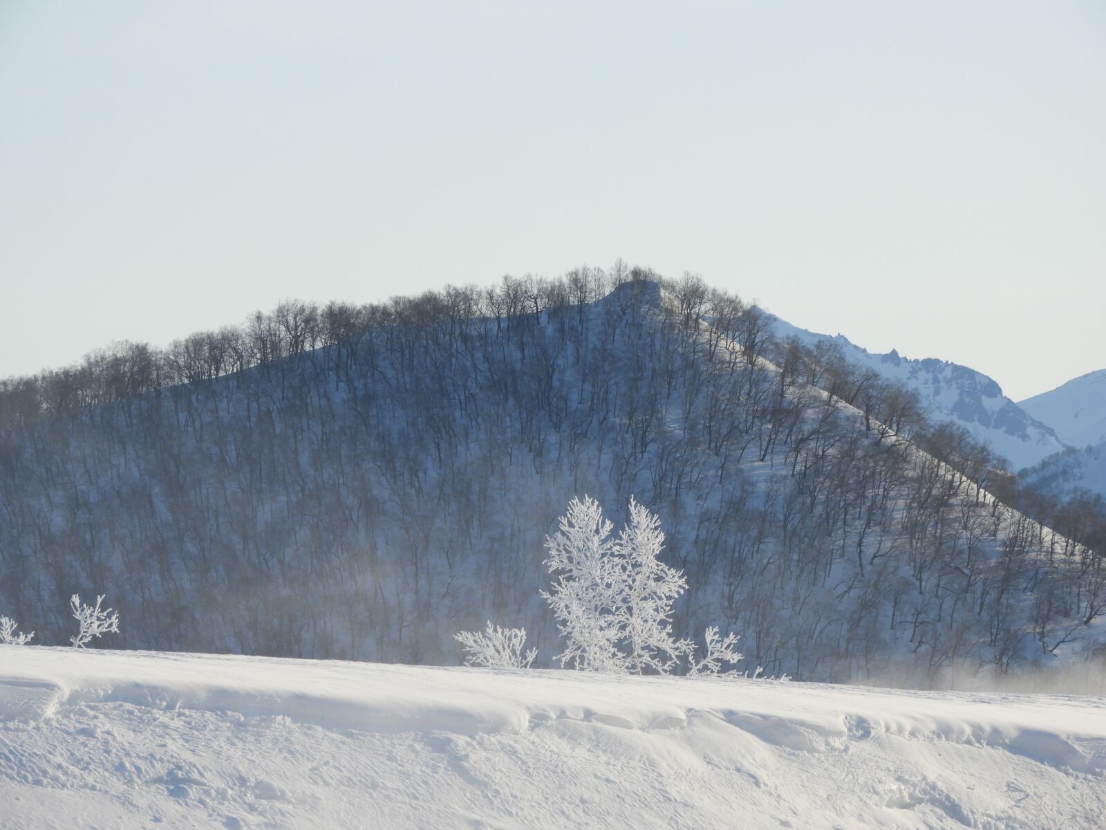 Nikon Coolpix B700 sample photo. Leann, winter, morning photography