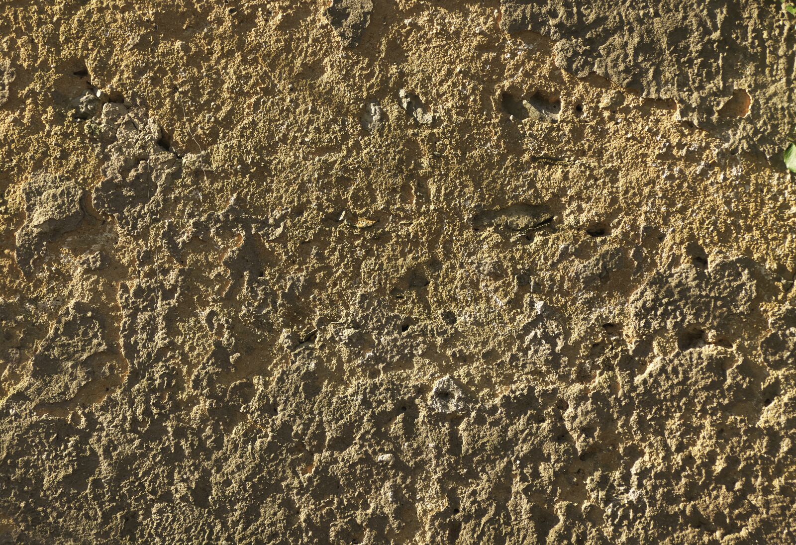 Panasonic Lumix DMC-FZ1000 sample photo. Wall, facade, plaster photography