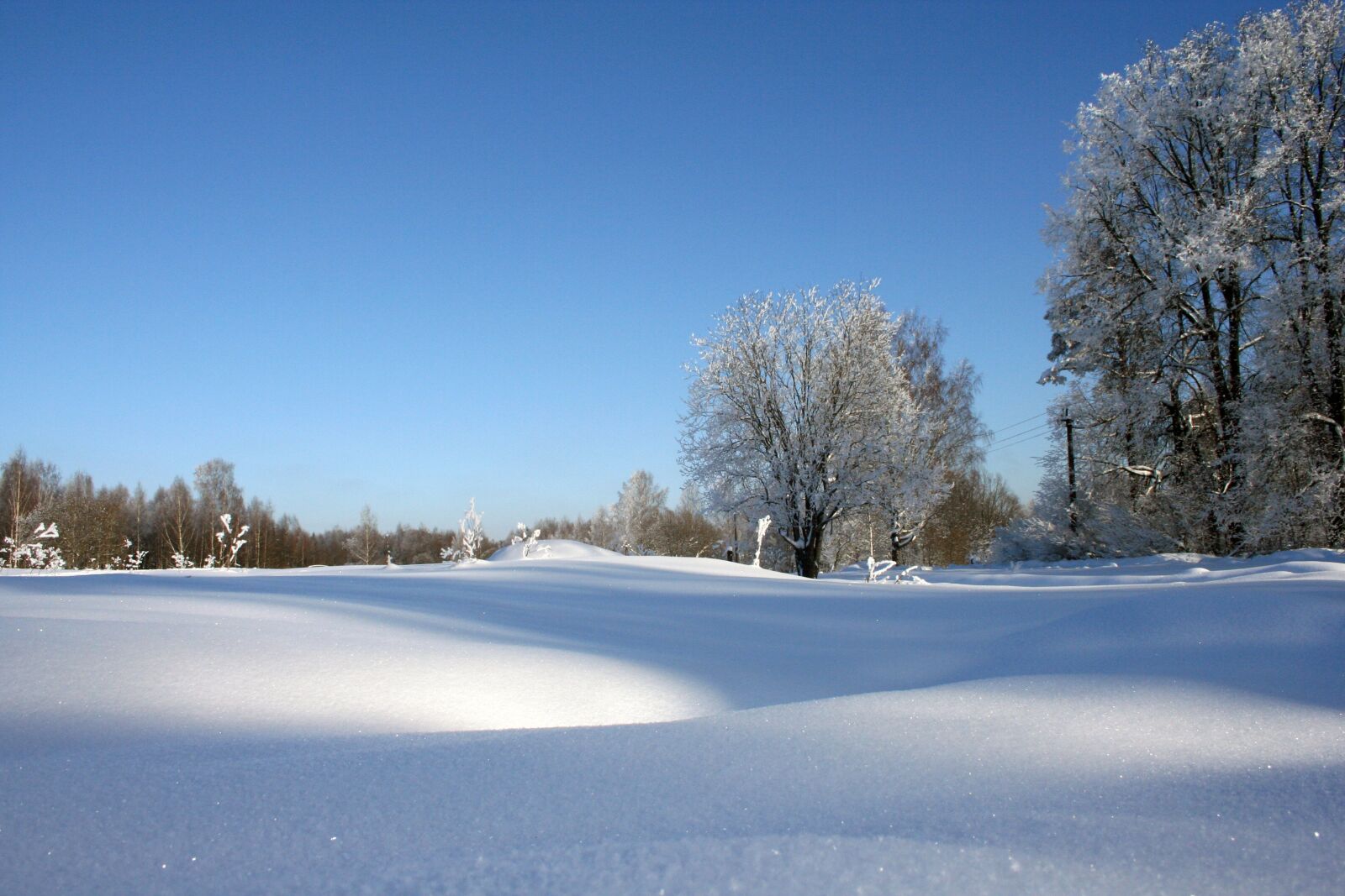 Canon EOS 350D (EOS Digital Rebel XT / EOS Kiss Digital N) sample photo. Russian winter, beauty, nature photography
