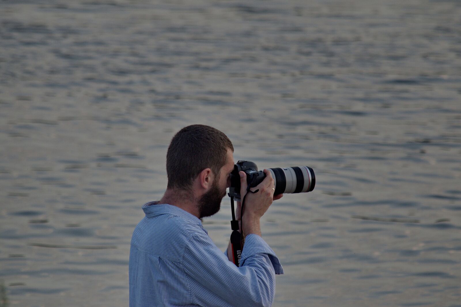 Nikon D5500 sample photo. Camera, horizon, lens, photographer photography