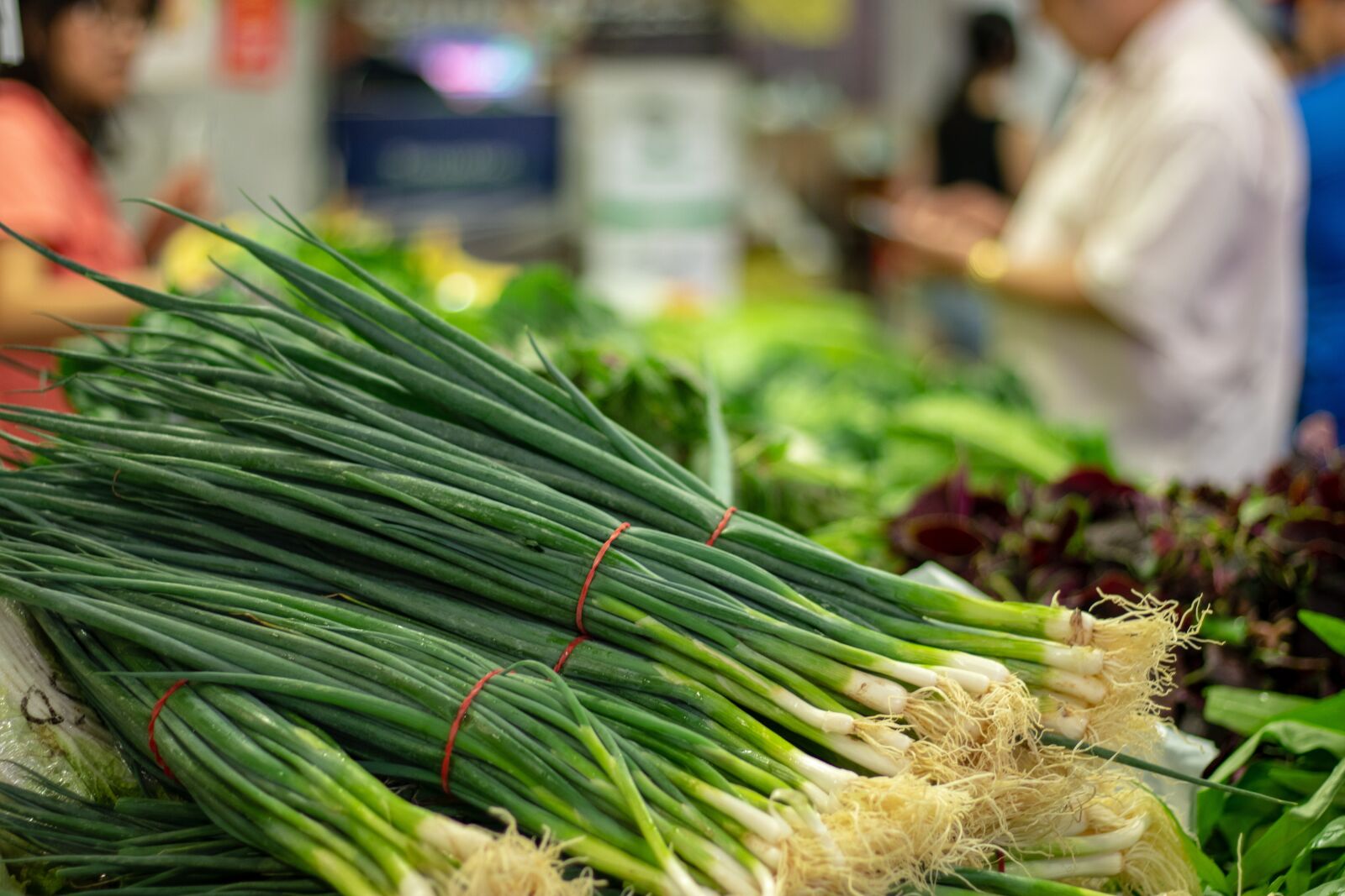 Canon EF 50mm F1.8 STM sample photo. Vegetables, spring onion, market photography