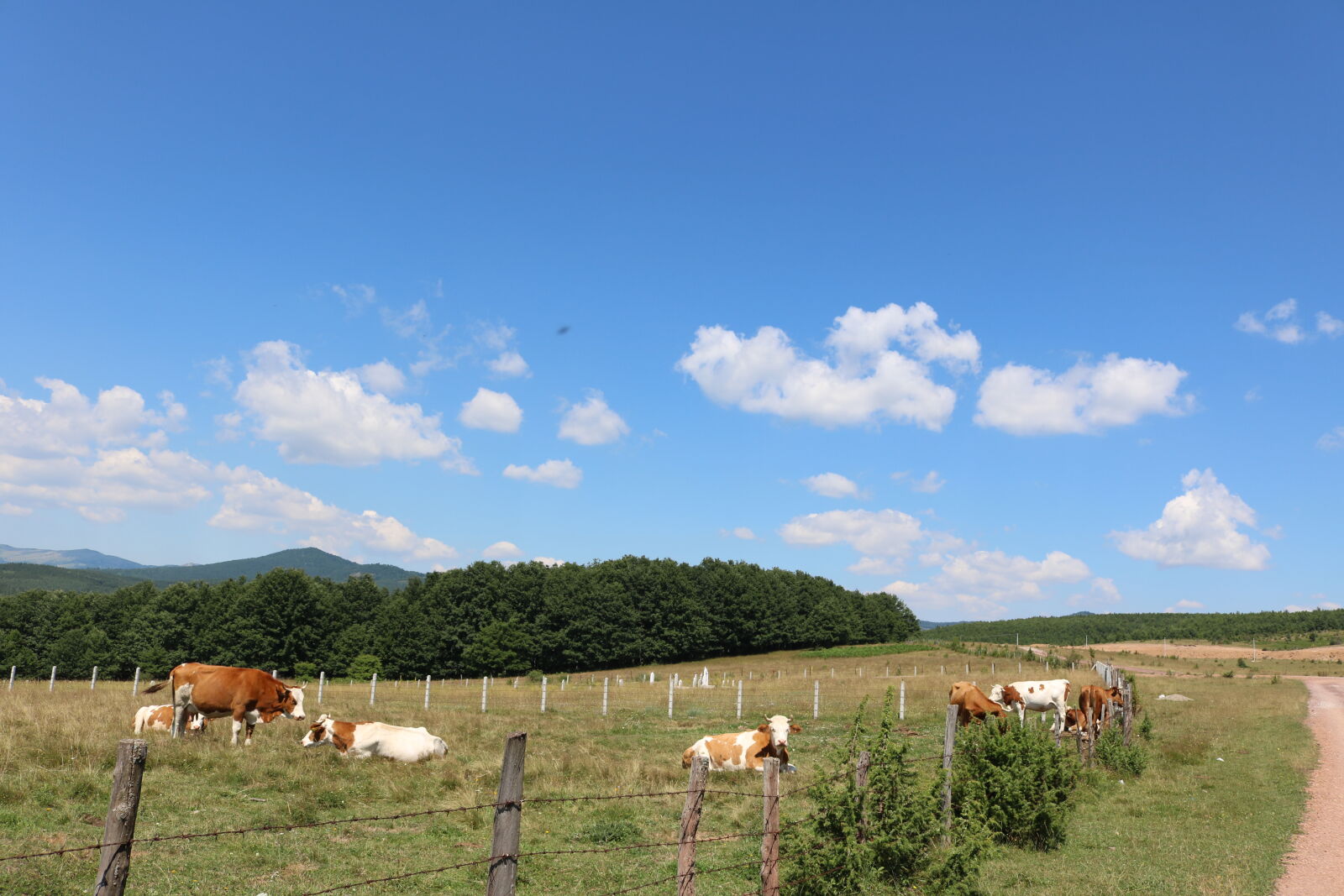 Canon EOS 750D (EOS Rebel T6i / EOS Kiss X8i) sample photo