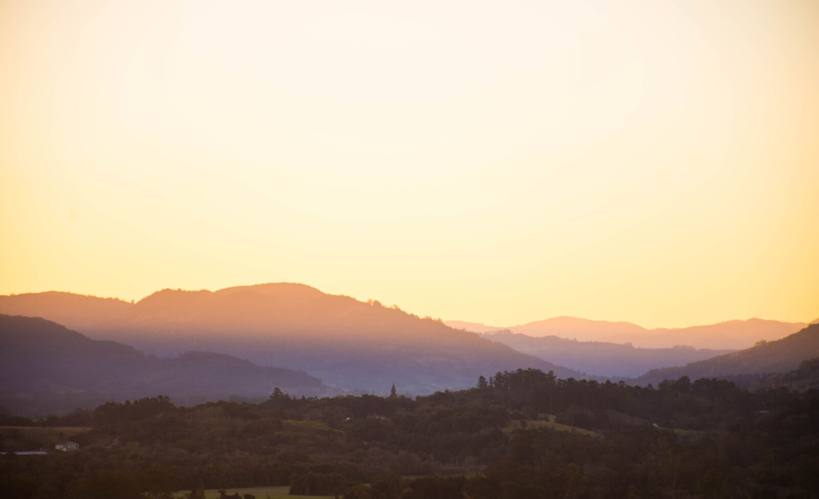 Nikon D7200 sample photo. Sunset, plant, field photography