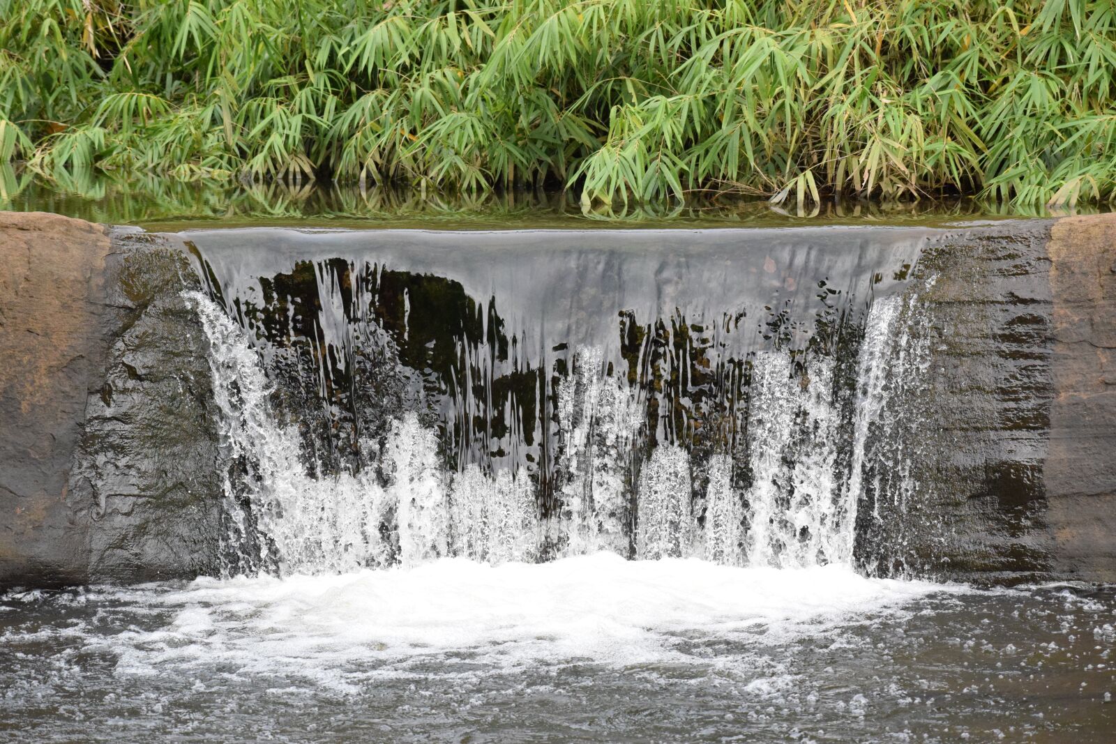 Nikon D5300 sample photo. Nature, green, waterfall photography
