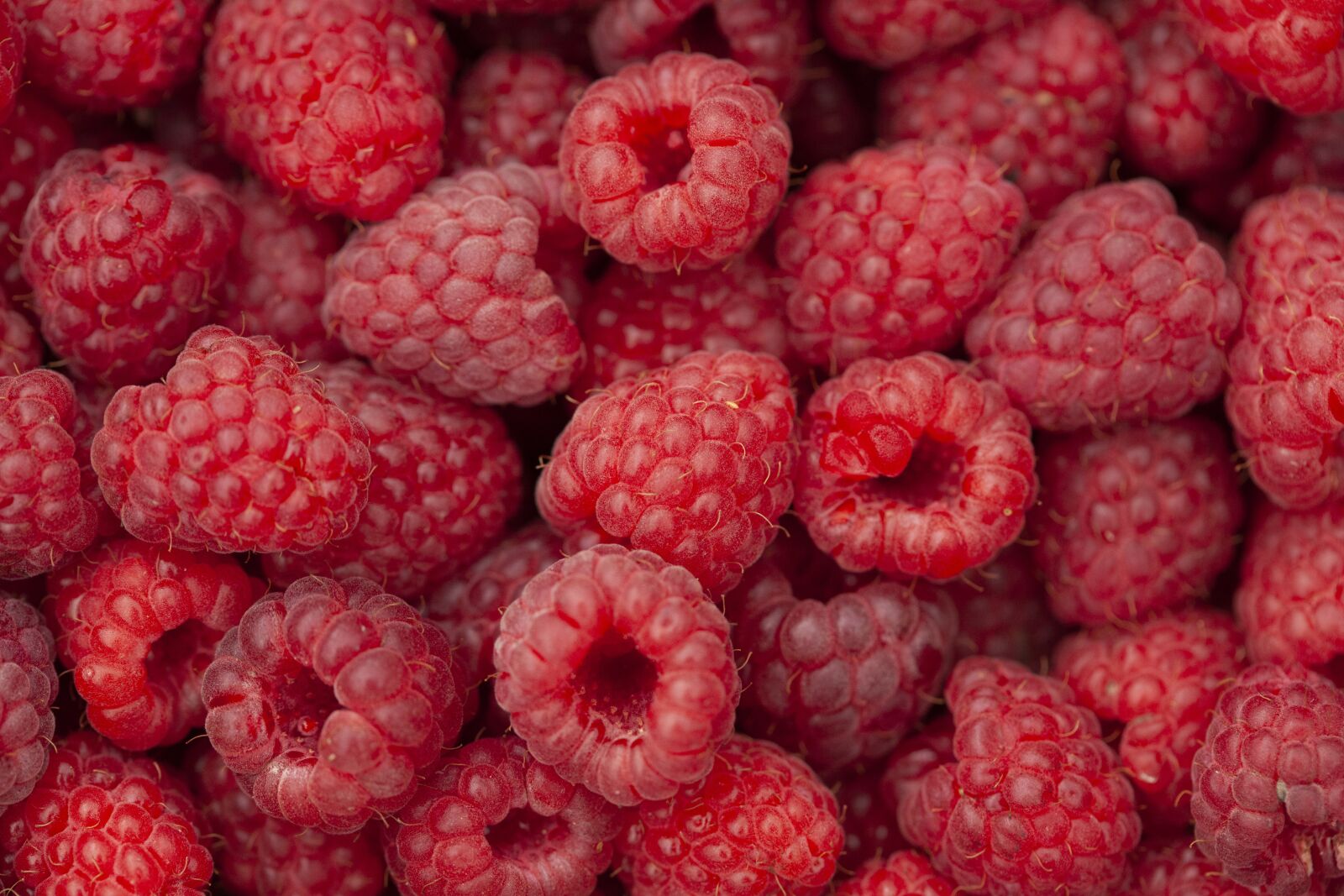 Canon EOS 5D Mark II sample photo. Raspberry, fruit, berries photography
