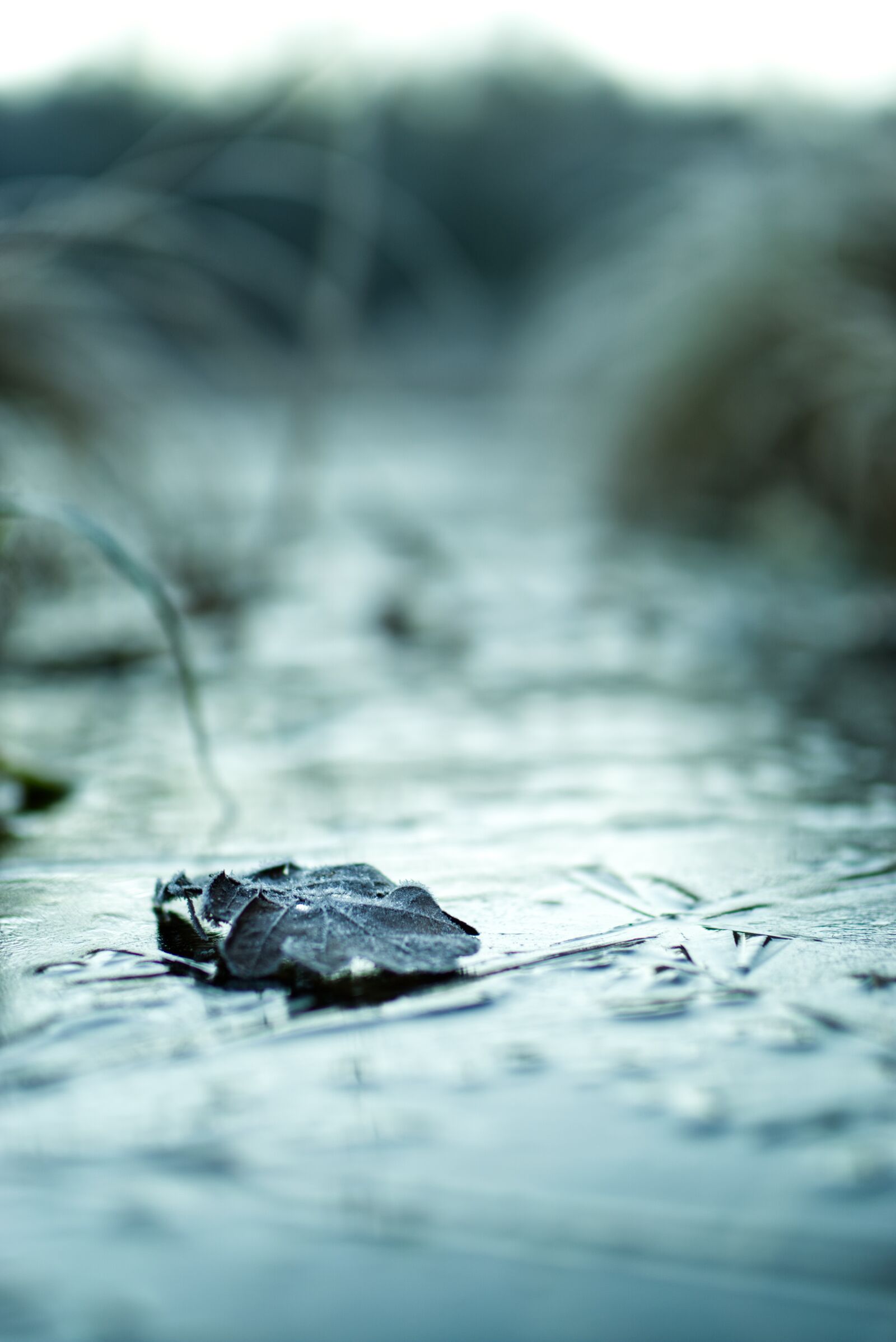 Sigma 35mm F1.4 DG HSM Art sample photo. Ice, lake, winter photography