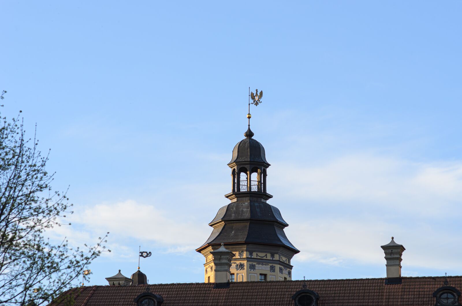 Nikon D7000 sample photo. Castle, belarus, tourism photography