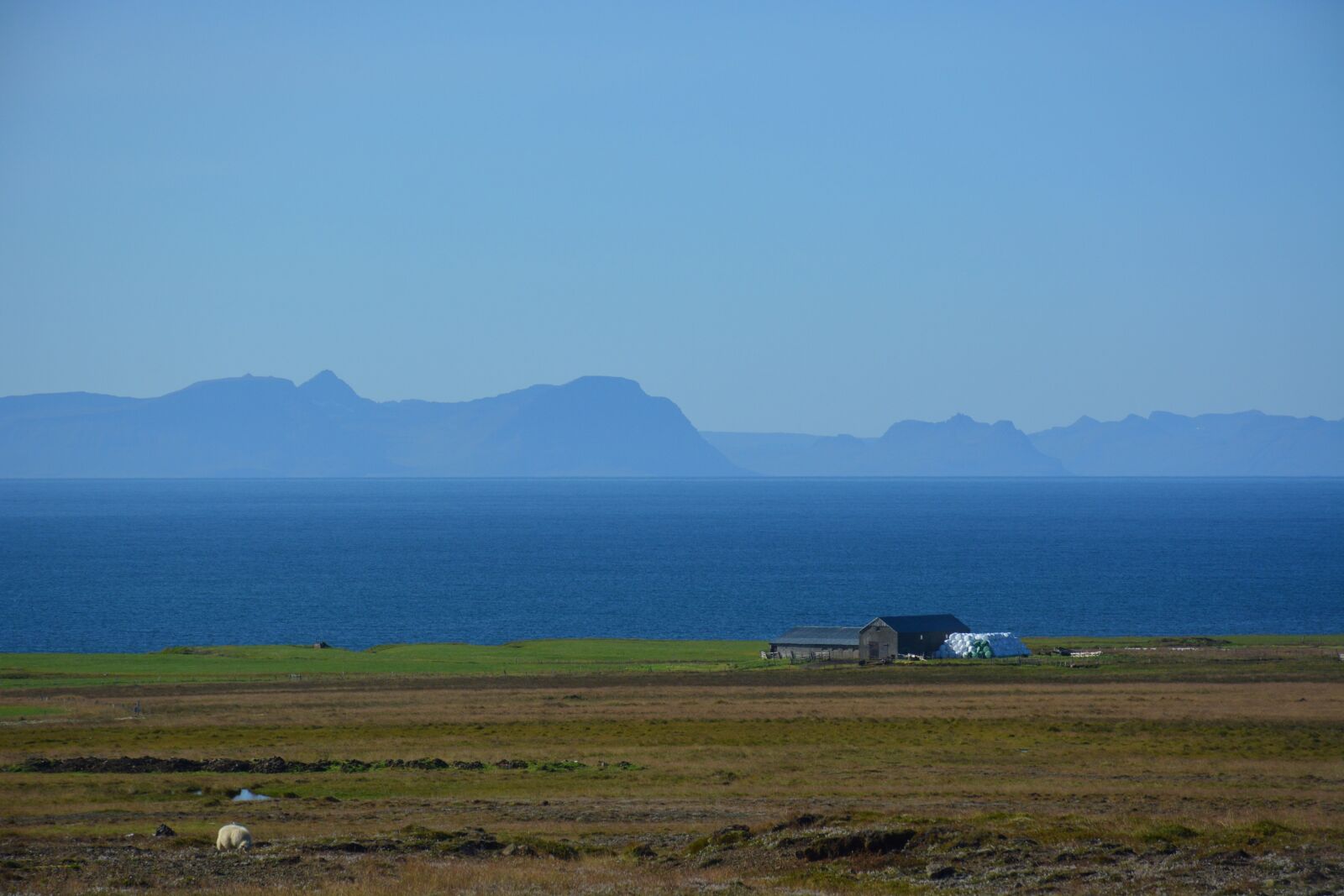 Nikon D5200 sample photo. Iceland, north, sea photography