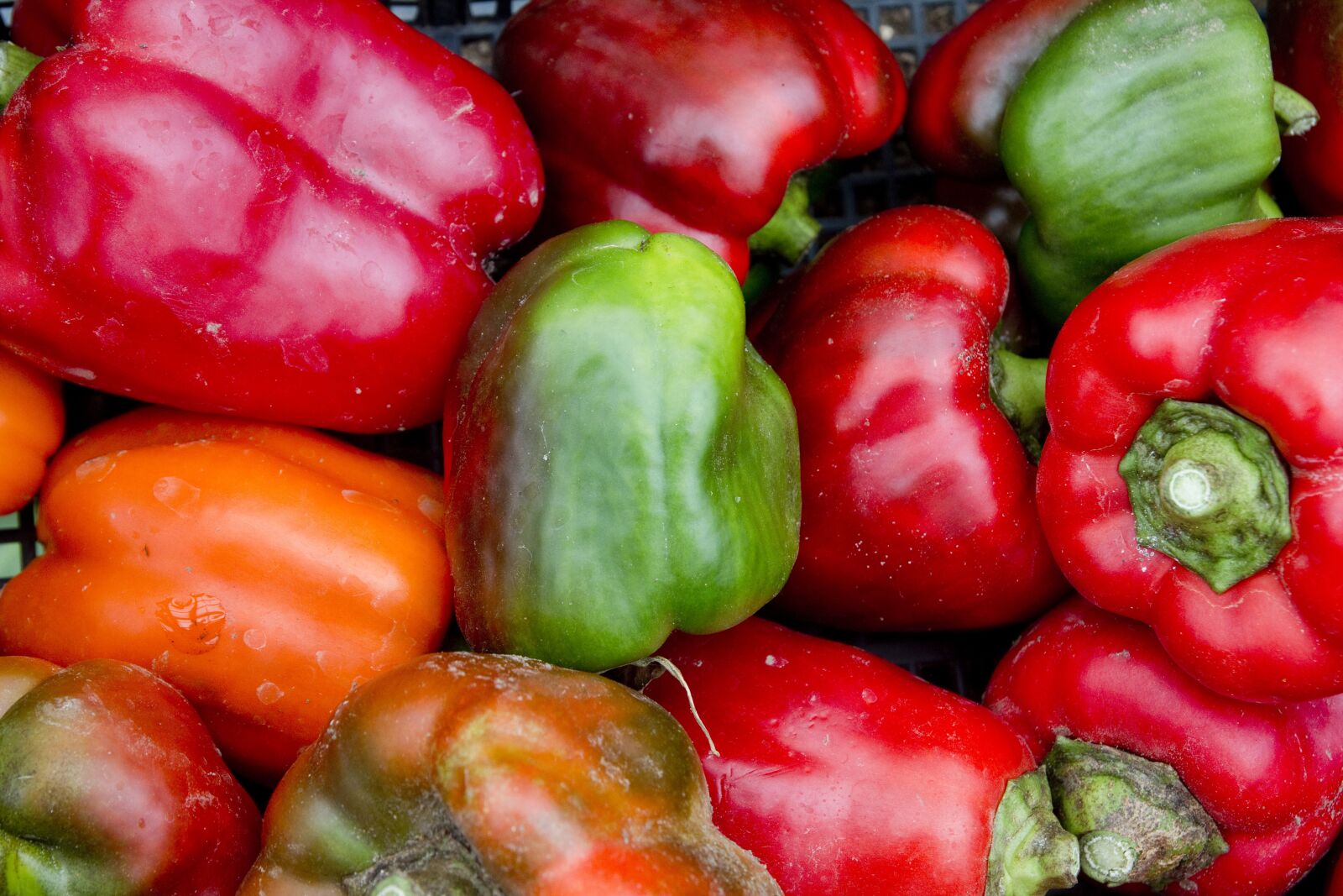 Canon EOS 70D sample photo. Nutrition, paprika, natural photography