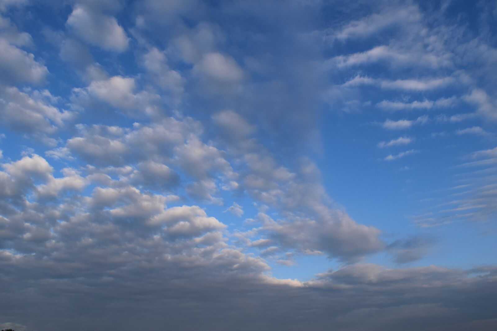 Nikon D3300 sample photo. Sky, clouds, blue photography