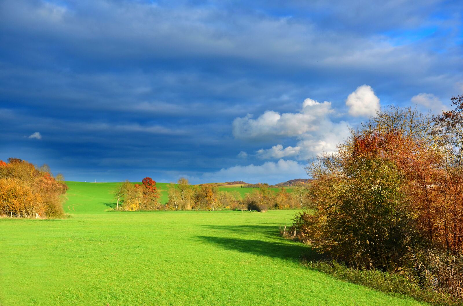 Nikon D5100 sample photo. Countryside, pasture, agriculture photography