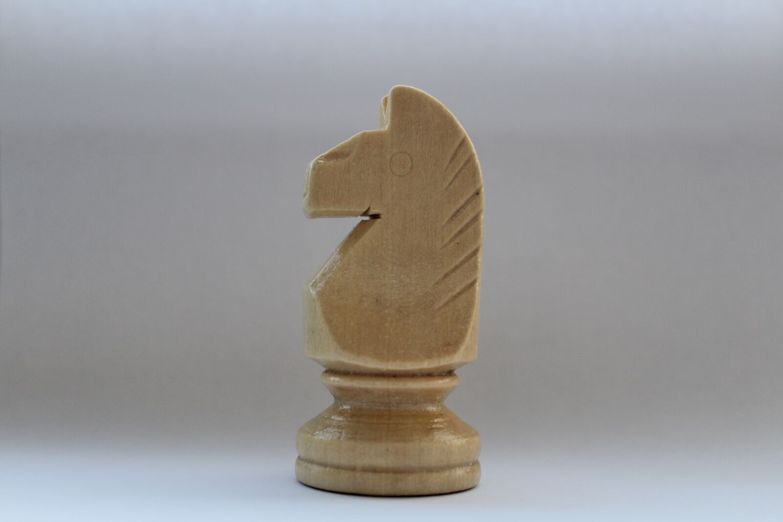 Canon EOS 600D (Rebel EOS T3i / EOS Kiss X5) sample photo. Horse, white horse, chess photography