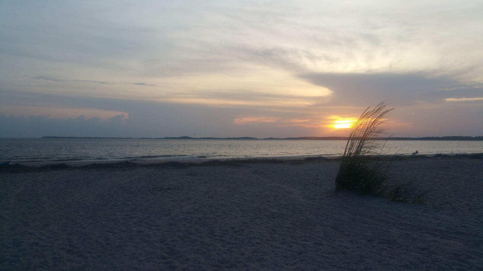 Samsung Galaxy Note4 sample photo. Beach, sea, oats photography