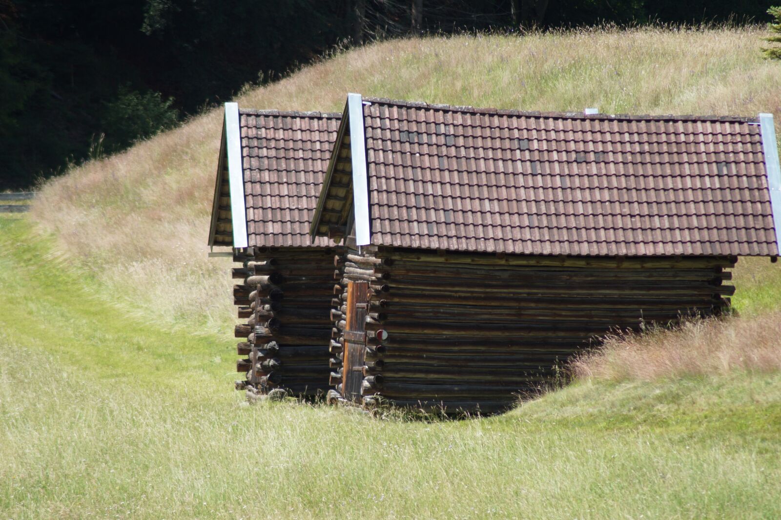 Sony SLT-A58 sample photo. Alpine hut, grass, vacations photography