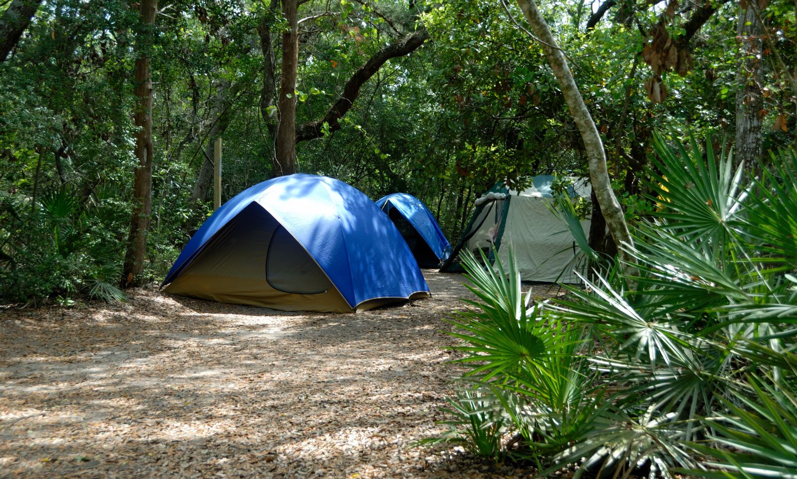 Nikon D200 sample photo. Tent camping, recreation, fun photography