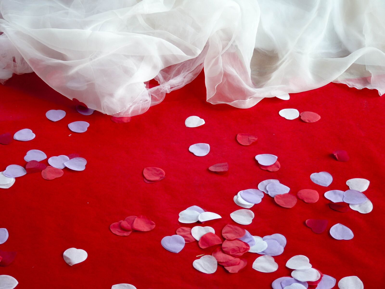 Panasonic Lumix DMC-FZ35 (Lumix DMC-FZ38) sample photo. Wedding, petals, decor photography
