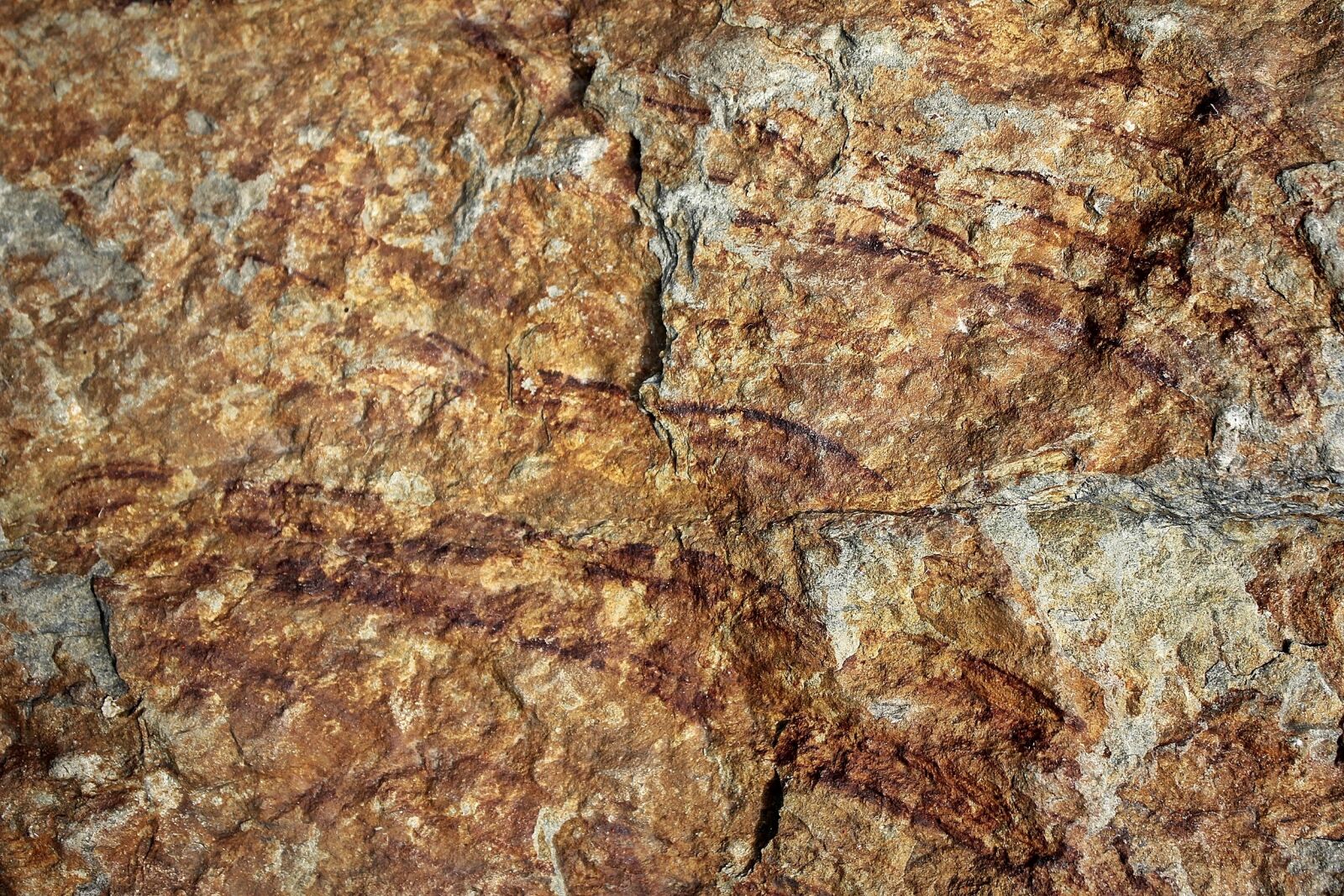 Canon EOS 550D (EOS Rebel T2i / EOS Kiss X4) sample photo. Stone, texture, structure photography