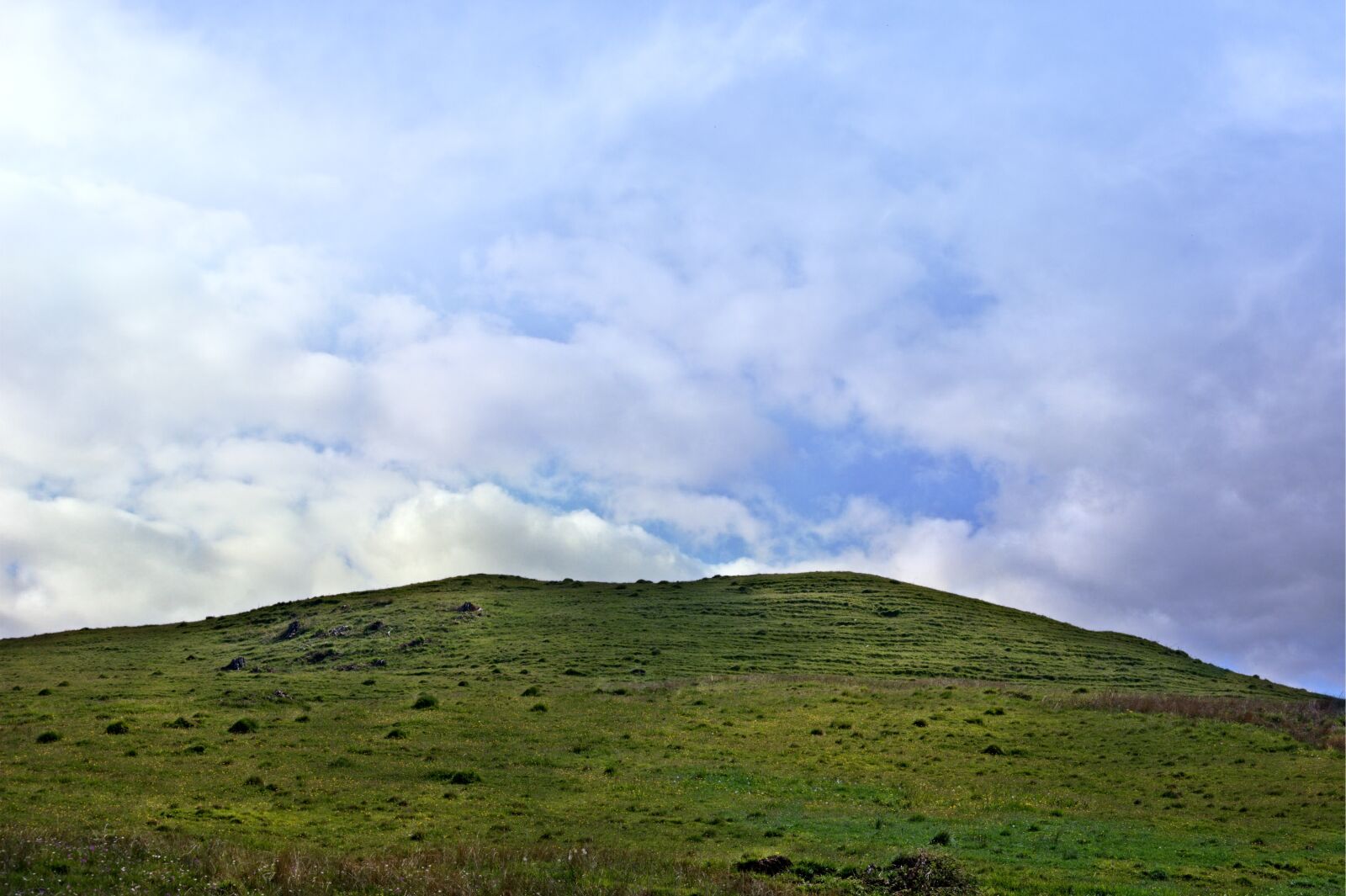 55.0-200.0mm f/4.0-f/5.6 sample photo. Hill, nature, meadow photography
