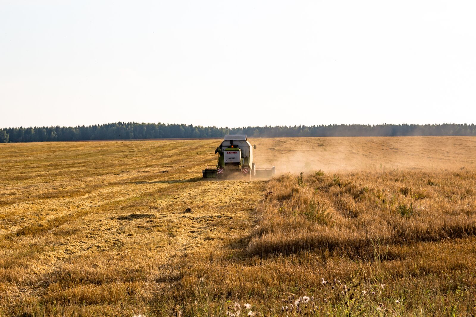 Canon EOS 100D (EOS Rebel SL1 / EOS Kiss X7) sample photo. Cleaning, harvest, rural photography