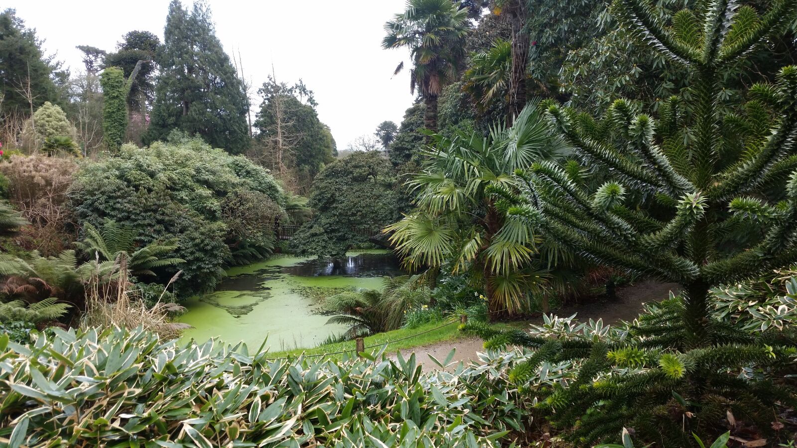 Samsung Galaxy S5 sample photo. Lake, nature, trees photography