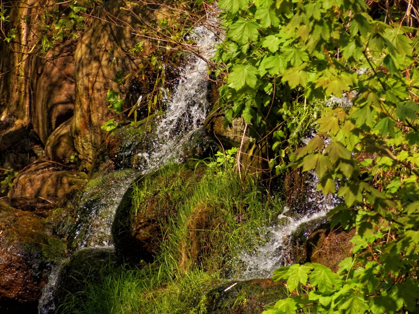 Panasonic Lumix DMC-FZ200 sample photo. Nature, jungle, small waterfall photography
