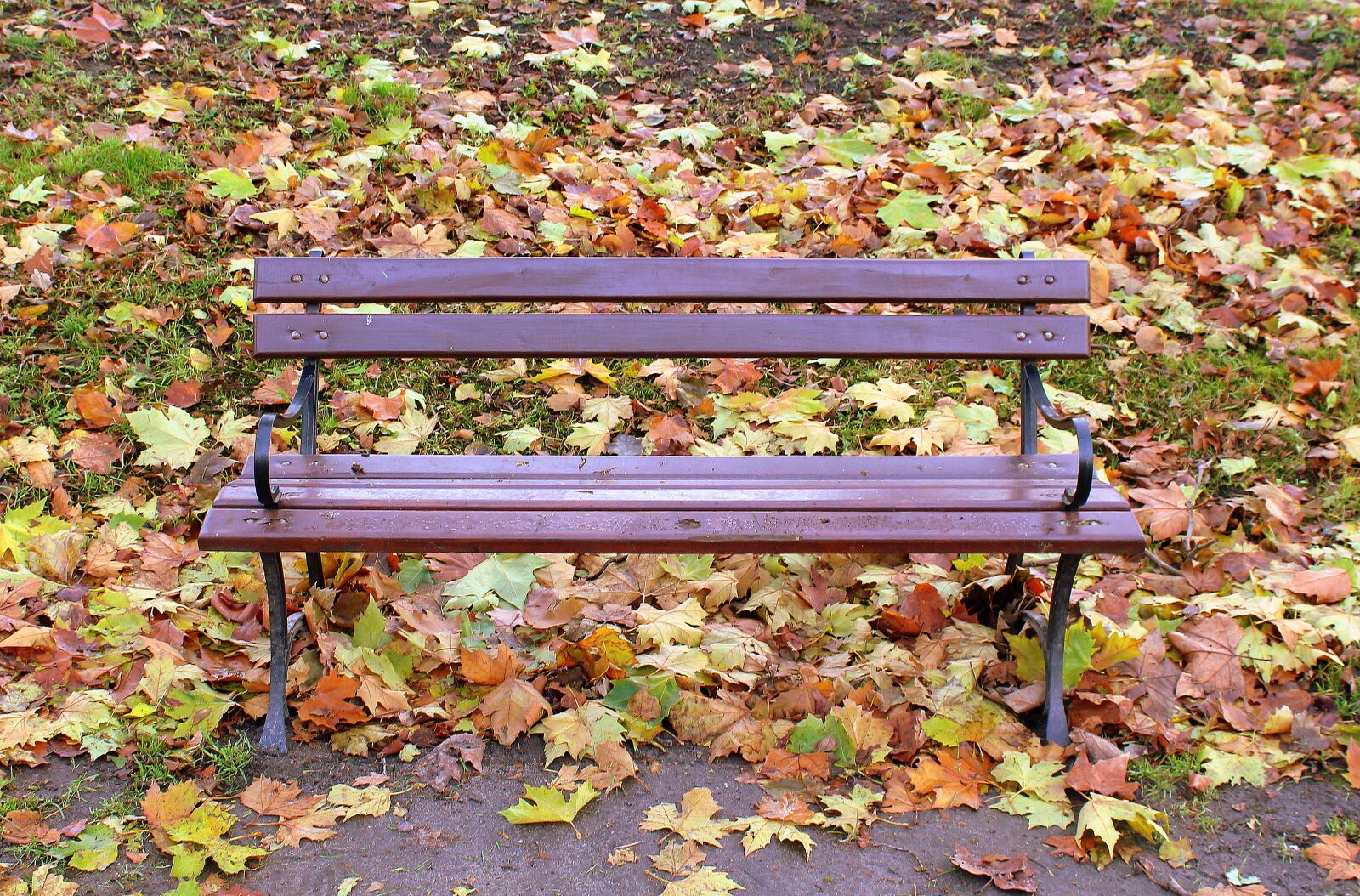 Canon EOS 1200D (EOS Rebel T5 / EOS Kiss X70 / EOS Hi) sample photo. Park, autumn bench, bench photography