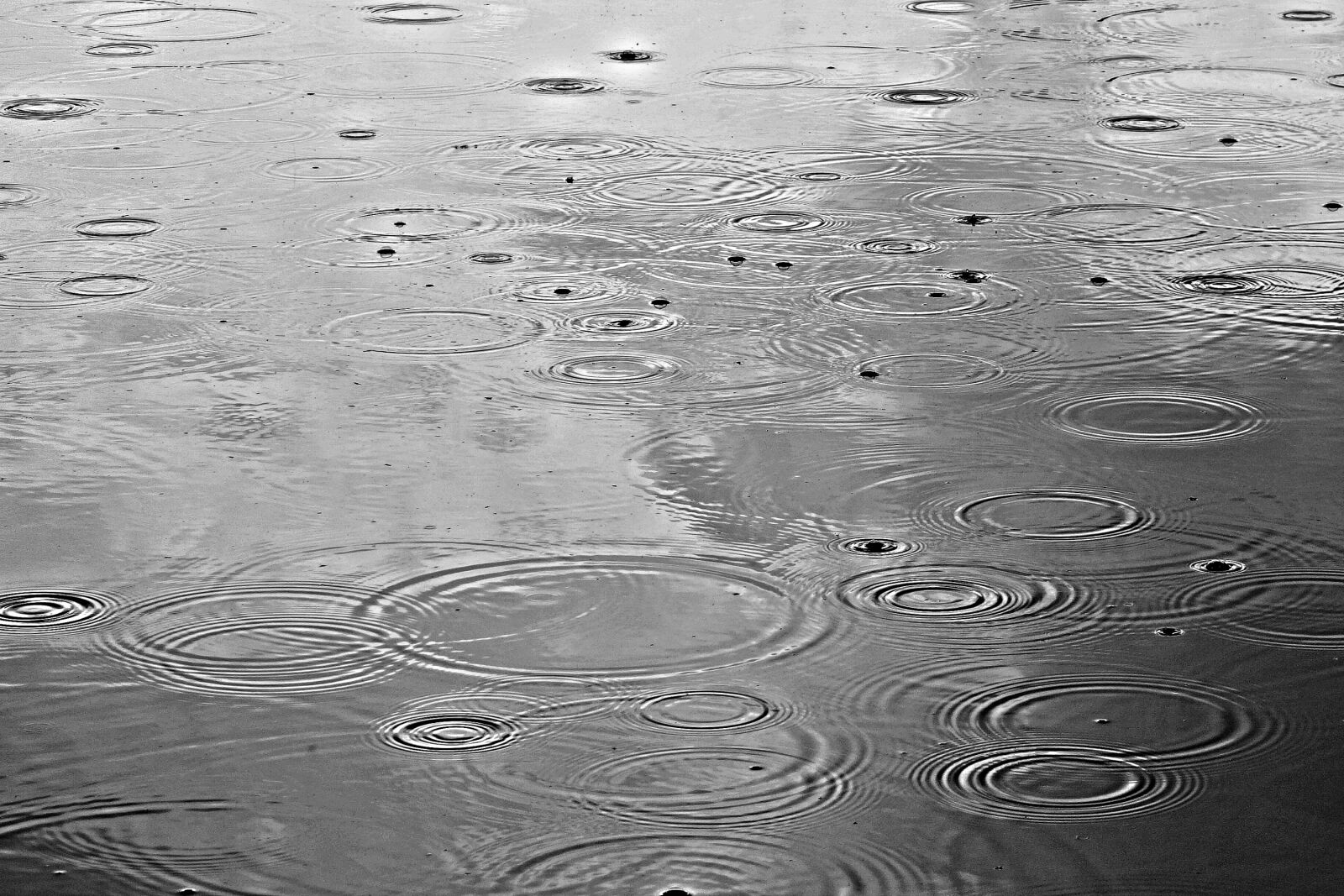 Sony Cyber-shot DSC-RX100 sample photo. Circles, drop, pond, rain photography