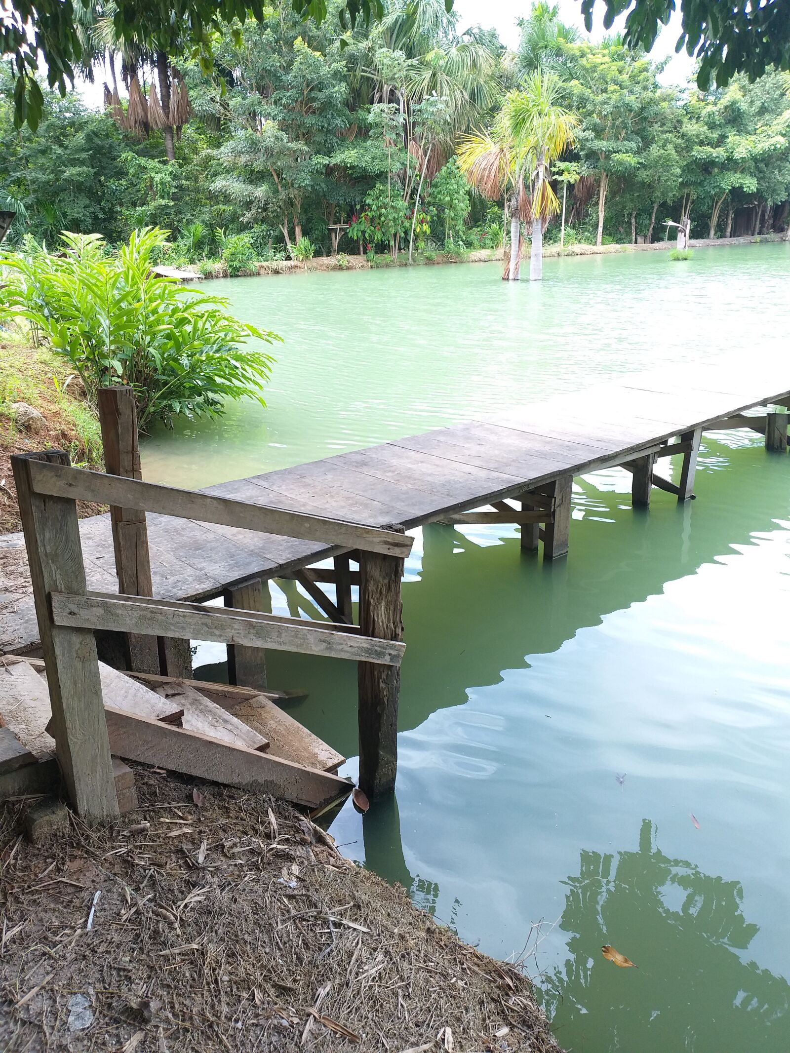 Samsung Galaxy J8 sample photo. Pond, landscape, nature photography