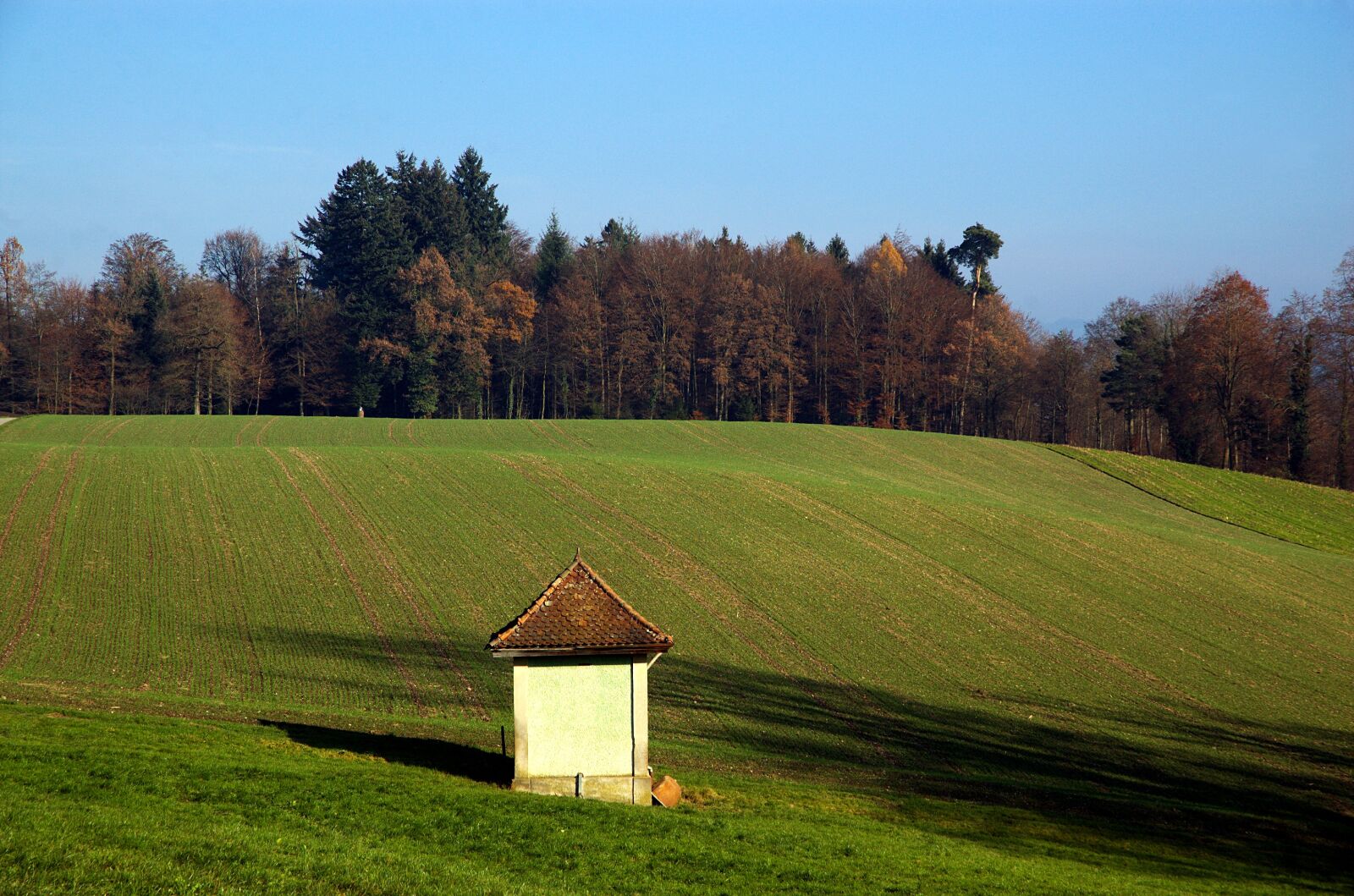 Nikon D70 sample photo. Arable, field, agriculture photography
