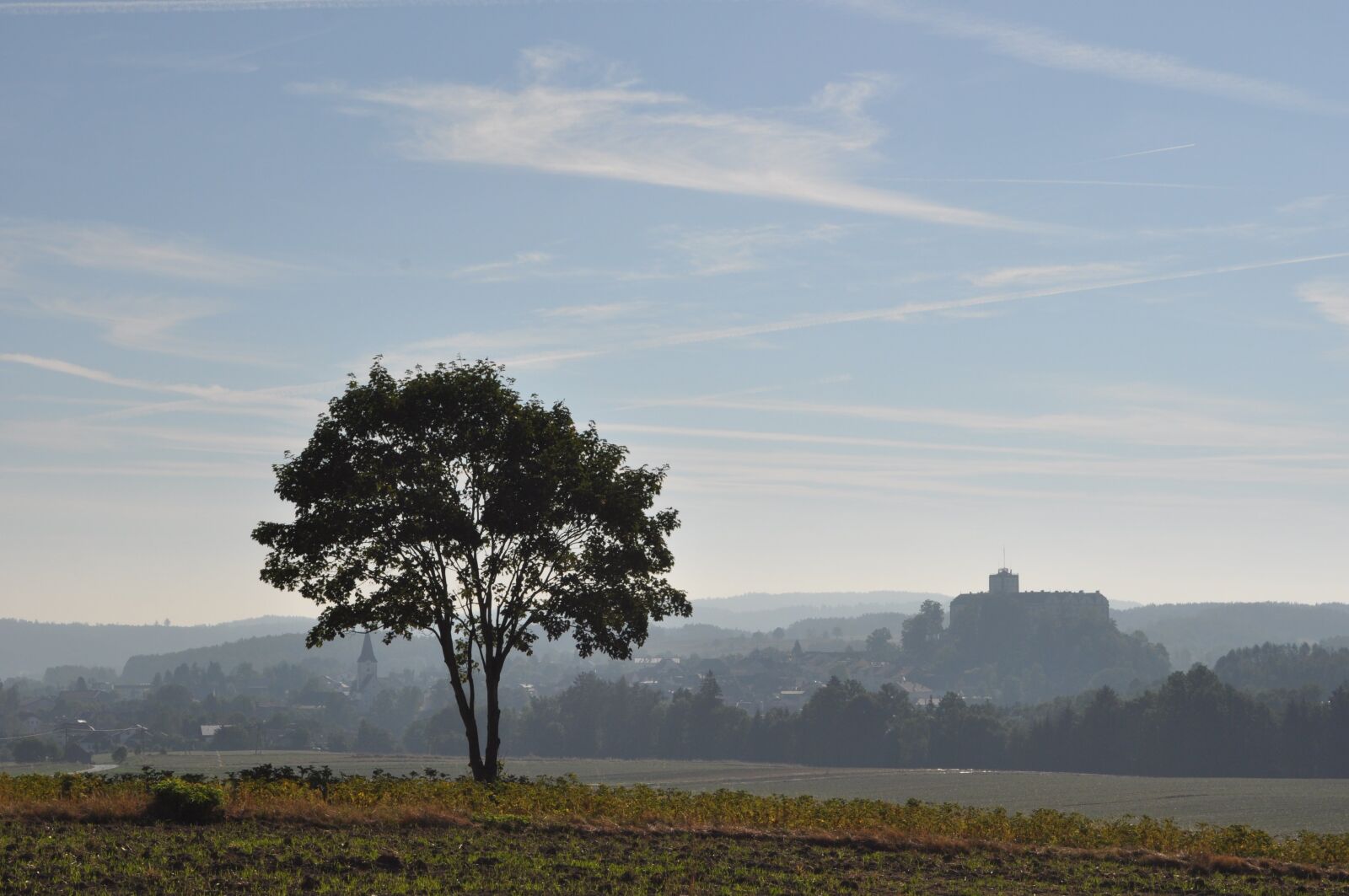 Nikon D90 sample photo. Nature, tree, sky photography