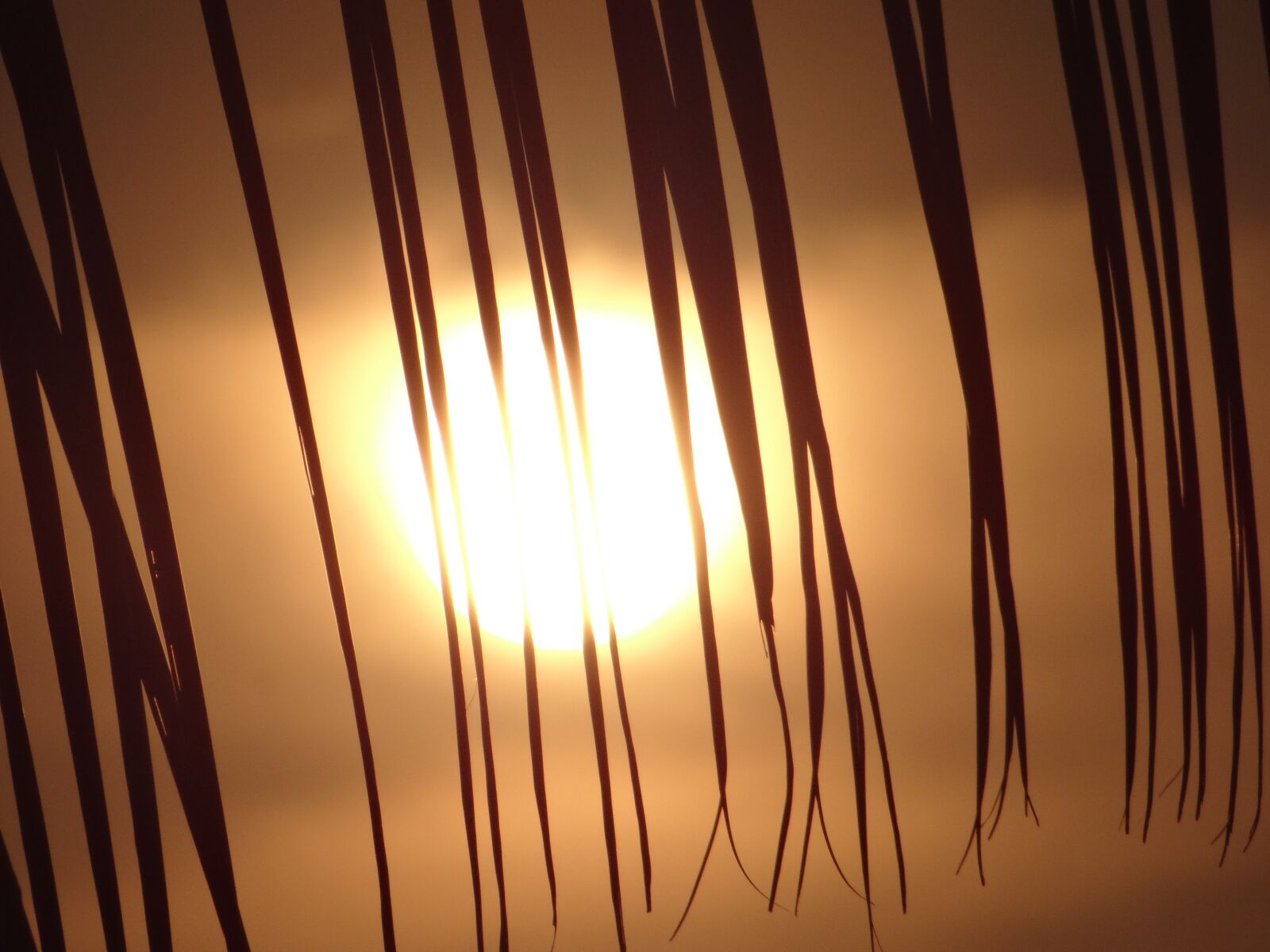 Sony DSC-HX200V sample photo. Sunset, sun, landscape photography