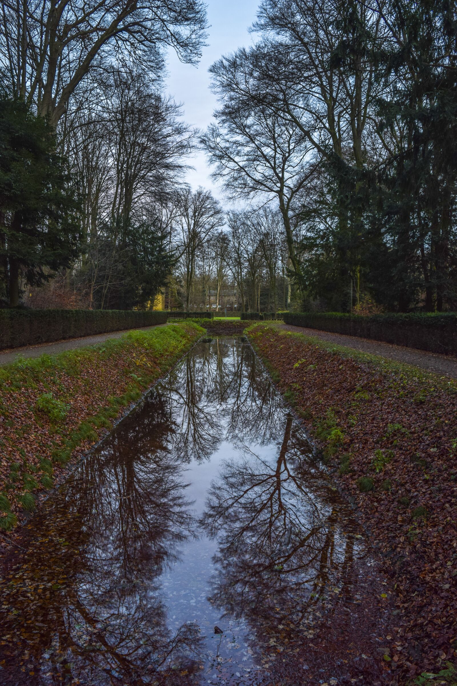 Nikon D3300 sample photo. Landscape, park, water photography