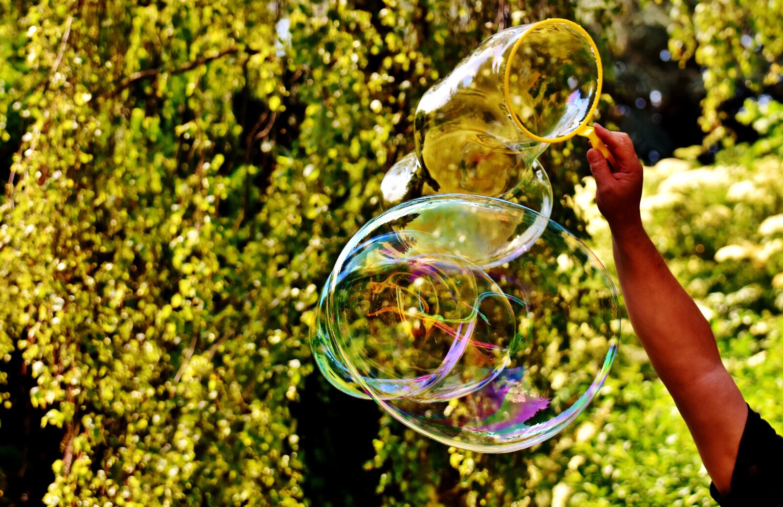 Nikon D7200 sample photo. Soap bubble, huge, large photography