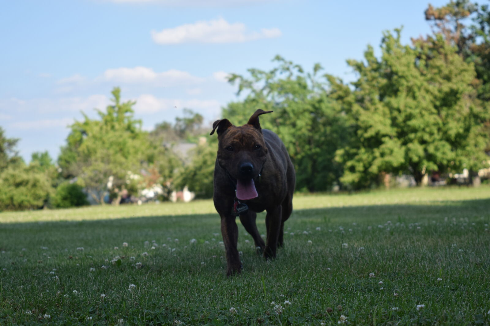 Nikon D3300 sample photo